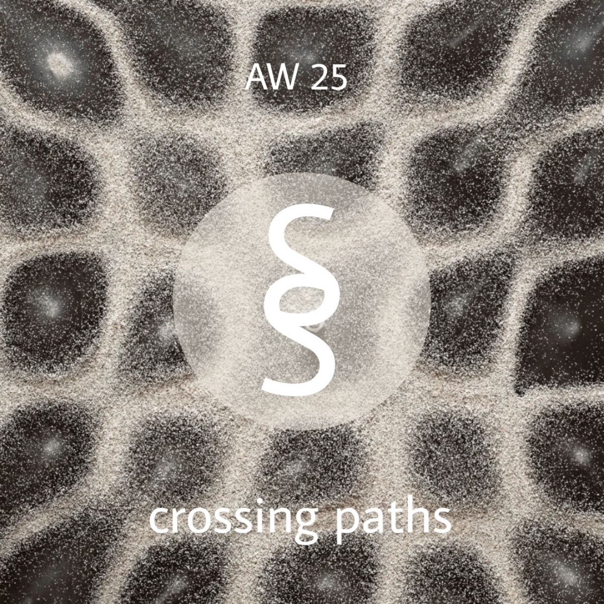 crossing_paths